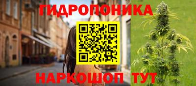 ПСИЛОЦИБИНОВЫЕ ГРИБЫ Гай