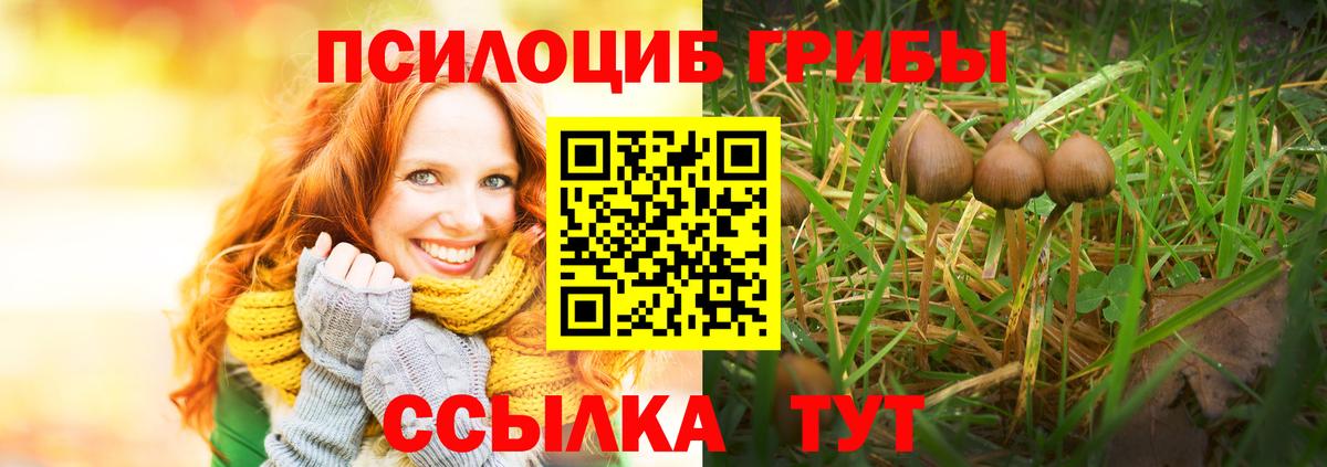 Псилоцибиновые грибы Magic Shrooms Рыбинск