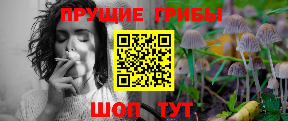 где найти   Псилоцибиновые грибы мухоморы  Вход с VPN  Рыбинск 